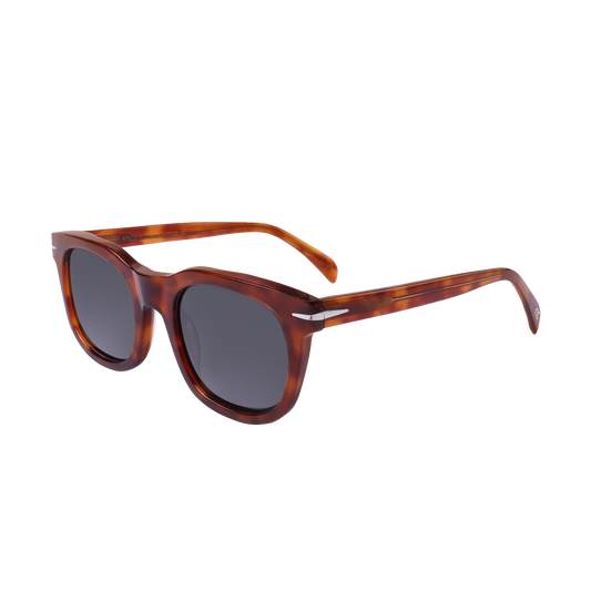 Society The Academic C2