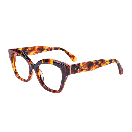 Society The Broker C2