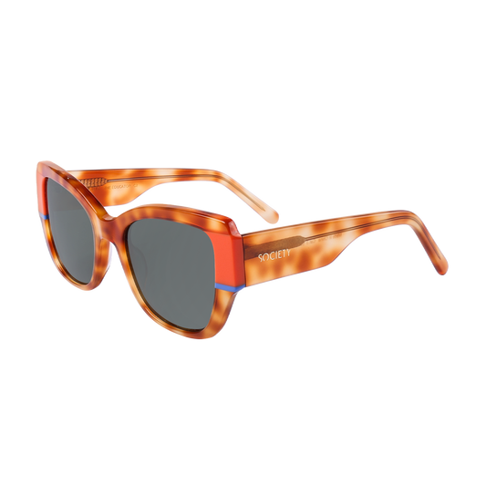 Society The Educator C2