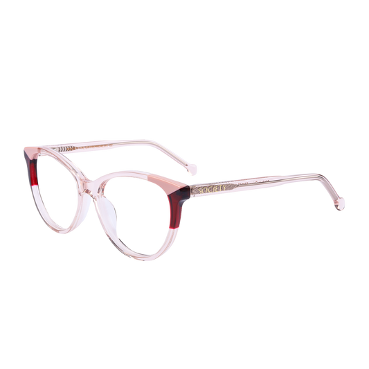 Society The Entrepreneur C2