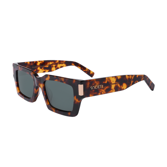 Society The Guardian C5