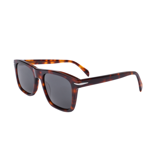 Society The Life Coach C2