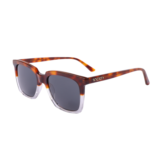 Society The Maestro C2