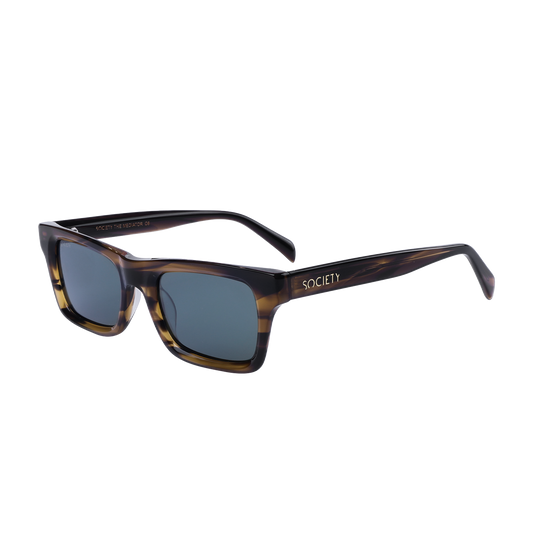 Society The Mediator C6