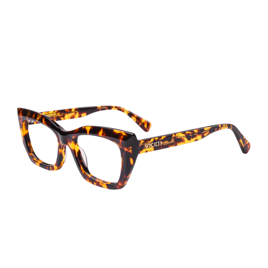 Society The Visionary C2