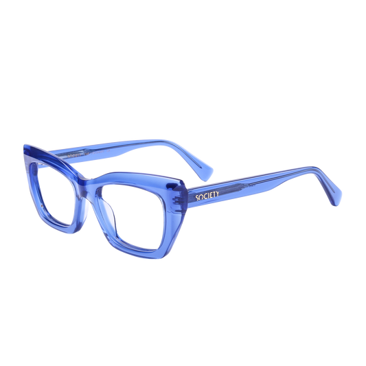 Society The Visionary C4